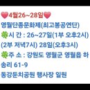 🔊🔊 4월26~28일 공연은 강원도 영월이드래요~ 이미지