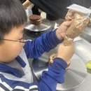 영남대 삼성태권도 이미지