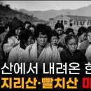 잠들기 전 듣는 역사 🌙 | 1963년 겨울, 지리산에 마지막까지 남아 있던 사람 — 빨치산 정순덕 풀스토리 이미지