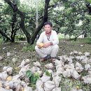 배들농장2 이미지