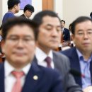 오징어당 이미지