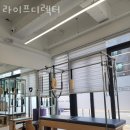 라이프디렉터