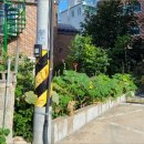 내곡동443 이미지