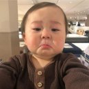 비해피 이미지