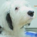 판문경로원 - 1499 | 판문경로원