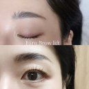 하루브로우