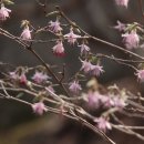 정릉18 이미지