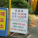 금원수목원수영장 이미지