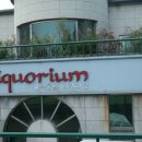 세계술박물관 이미지