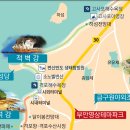 9월 정기산행(191차) - 부안 변산반도 마실길 3코스(노을길) 이미지