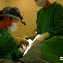 은삼성성형외과 이미지