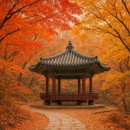 11월22일(토) 가을에 마지막 색~ 삼청각~삼청동 이미지