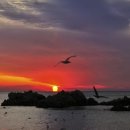 한 사람 이미지