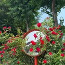 성곡로47번길 이미지