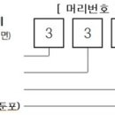 우편번호 자동 검색기 이미지