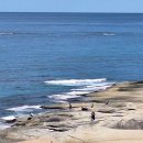 바다정원 이미지