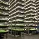 정의농장 이미지