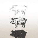 산청블루베리농장 | [교카이젠 X 보배진] - 신들의 만남