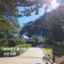 11650-7-8-1 | [호주-시드니] 11월 7박 8일 여행 후기 (1)