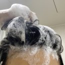 뷰티미용실 - 보은군 삼산남로 13-1 | 뷰티미용실