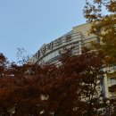 이사금 빌리지 | 경주 떡갈비 맛집 새롭게 찾은 곳!