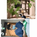 지금편한치과의원 이미지