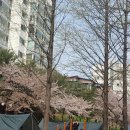 장수공원 이미지