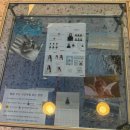 한성사진관 | 노블온스튜디오, 요즘느낌으로 여권사진 잘 찍는 불당동 사진관 후기