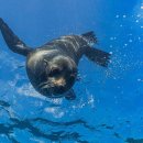 강서구민올림픽체육센타 이미지