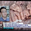 경북대학교 식물방역대학원 이미지