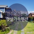 경주애견펜션햇살가득