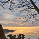 늑대와 여우 컴퓨터 이미지