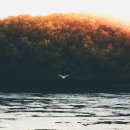 호수민박 이미지