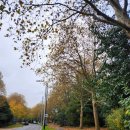 (주)게임콘 이미지