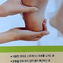315팩토리아울렛