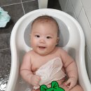 붕붕 소프트 이미지