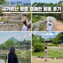 왕가 | 2025 국가유산 방문 캠페인 서포터즈 활동 후기 왕가의 길