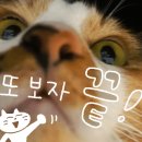 울산웰빙식당 이미지