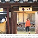 금성석물 이미지