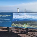 영진카프라자 | 모나용평 용평리조트 천년주목숲길 발왕산 기 스카이워크 + 강원도 바다