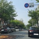 주정차단속-42 이미지