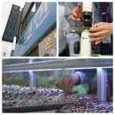 보안당안경 이미지