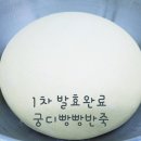 보고피드 이미지