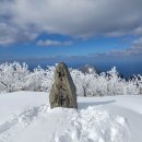 울릉도(추산, 태하 &#39;24.1.28) 이미지