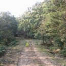 영림농장 이미지