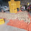 대범농장 이미지