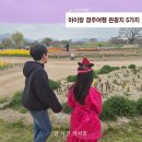 아이랑 경주여행 1박2일 코스, 초등아이와 다녀온 경주 관광지 5곳