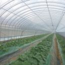 신흥건조기 이미지