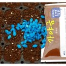 홍익바이오 이미지