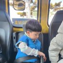 서천초교병설유치원 이미지